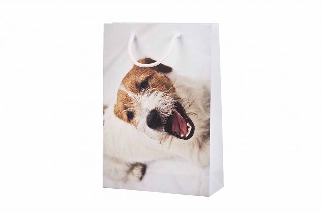 Vahva, korkealaatuinen luksuskassi. Sis�lt�� ilmaisen kuljetuksen Suomeen. 