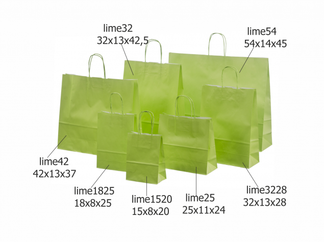 Light Green Paper Bags