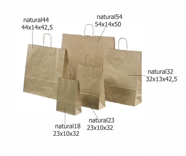 Ecological Paper Bag with Rope Handles