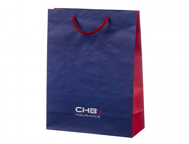 Stilig h�ndlaget papirpose. Frakt til Norge er inkludert i prisen. Velg mellom flere ulike st�rrel