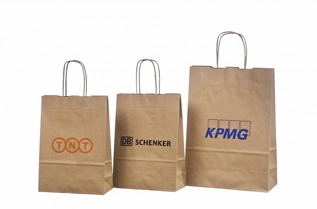 Billig miljvennlig papirpose med tvunnet hank og logo 