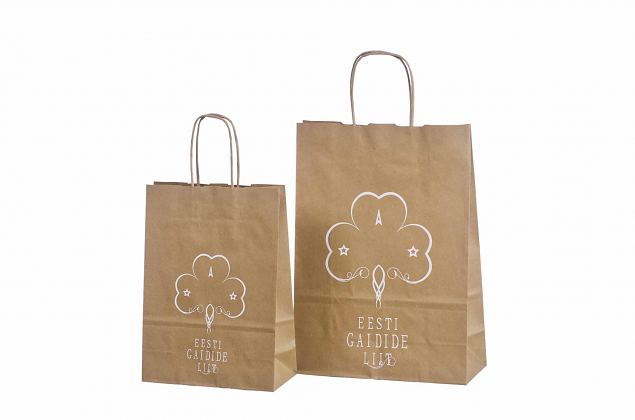nice looking recycled paper bags with print 