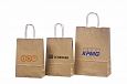 ecological paper bags with logo print | Galleri-Ecological Paper Bag with Rope Handles durable eco