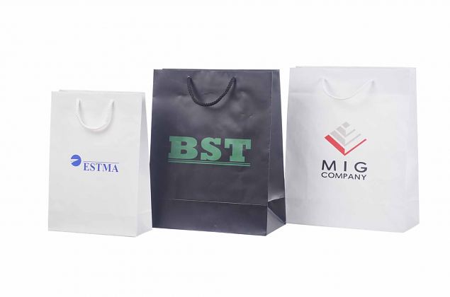 durable laminated paper bag with personal logo print 