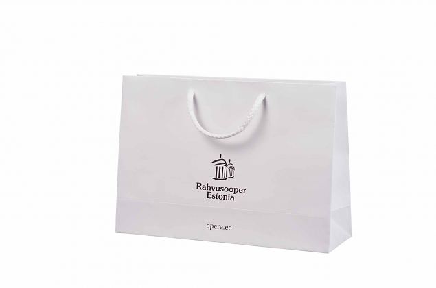 exclusive, laminated paper bags with handles 